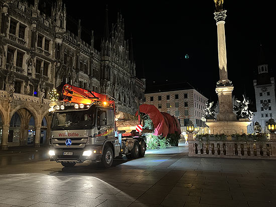 Um 6 Uhr begann man mit der Aufstellung des Christbaums auf dem Marienplatz (©Foto: Martin Schmitz)